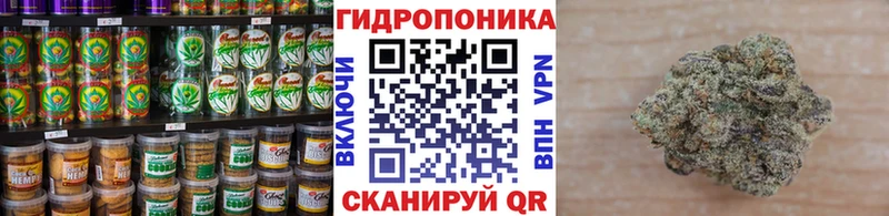 Cannafood конопля  где продают   Андреаполь 