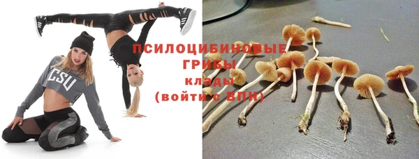 прущие грибы Алексеевка