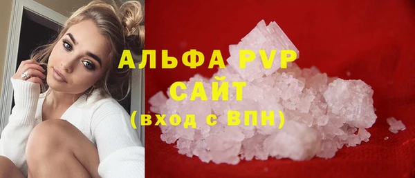сатива Пересвет