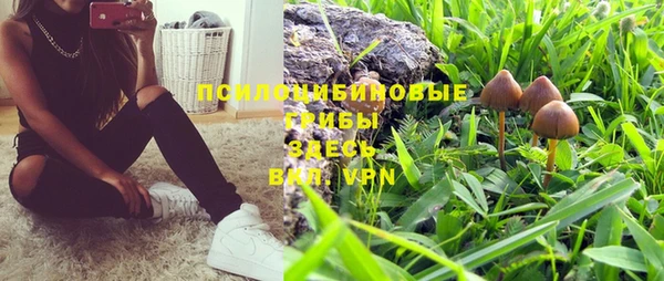 прущие грибы Алексеевка