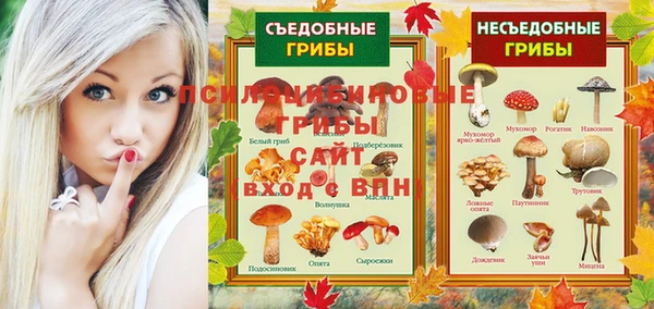 прущие грибы Алексеевка