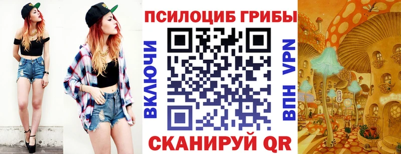 shop телеграм Андреаполь Галлюциногенные грибы прущие грибы где купить наркоту